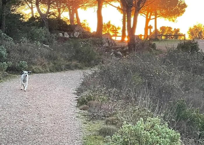 شقة 2-bedroom With Breathtaking Ocean View *